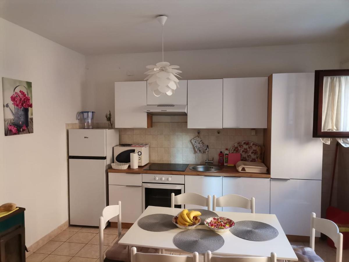 זאדאר Delfin Apartments מראה חיצוני תמונה